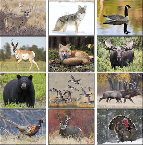Hunting & Fishing Spiral Bound Wall Calendar for 2023